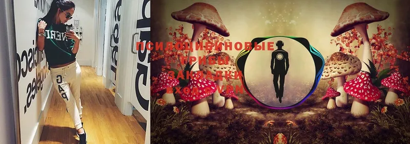 Псилоцибиновые грибы Magic Shrooms  закладка  Прокопьевск 